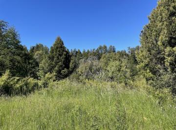 Terreno · 10000m² · Terreno en Trevelin