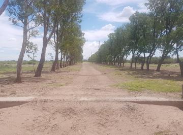 Terreno , Santa Rosa · Vende – Finca de 1.300 Has, Ubicada en Las Catitas, Mendoza.