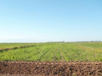 Terreno , Jocolí · Vende – Finca de 886,38 Hectáreas, Ubicadas Lavalle, Mendoza
