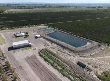 Terreno , Anchoris · Vende – Finca - Tupungato, Mendoza