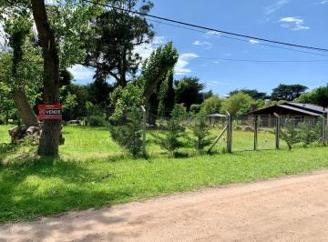 Terreno Venta 300m²  · Terreno - Miramar