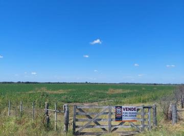 Campo · 2010000m² · Terreno - Costa del Nogoya