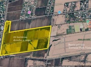 Terreno , Vistalba · Venta Finca 28 Hectáreas en El Corazón de Vistalba