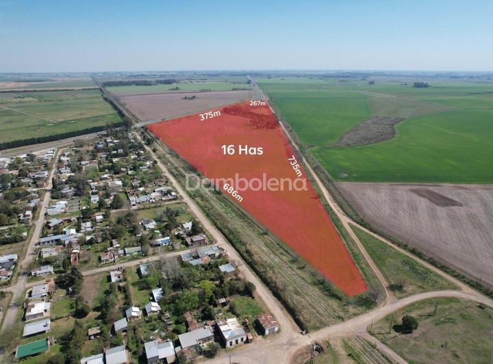 Terreno · 16000m²