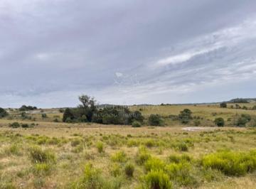 Foto1 · Campo de 51 Has con 6516 Paraje Camino Los Molles