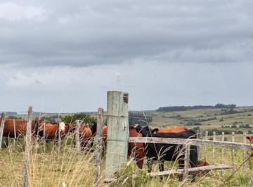 Foto1 · Campo Sobre Camino Los Molles y Pueblo Garzón.