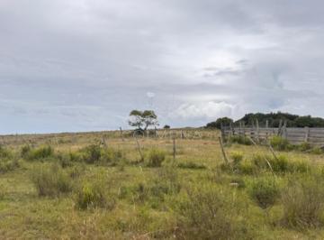 Foto1 · Campo de 78 Has en Garzon