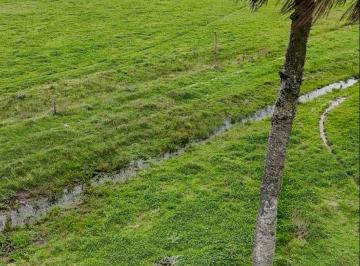 Campo · 125m² · 1 Ambiente · 125 Hectáreas en Rincón Bravo, Rocha