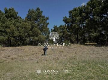 RLB-RLB-91_2 · Lote. | Lote Al 200