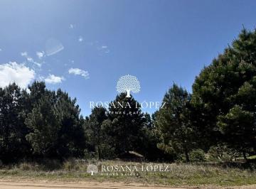 RLB-RLB-93_2 · 2 Lotes Frente Golf