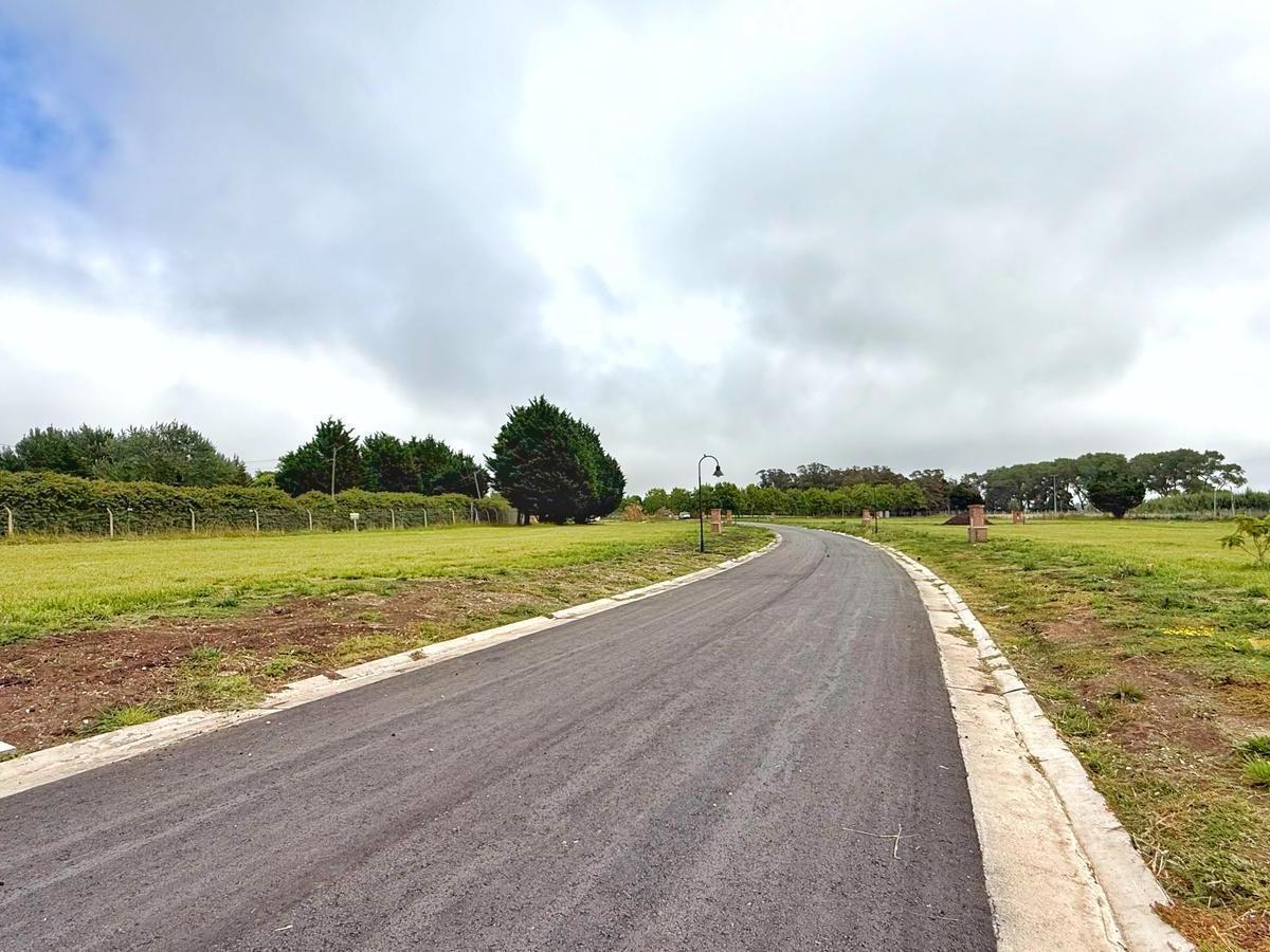 Venta de lote en barrio privado rumenco- Barrio Los Olivos- Excelente ubicación dentro del barrio- 735 mts2 totales