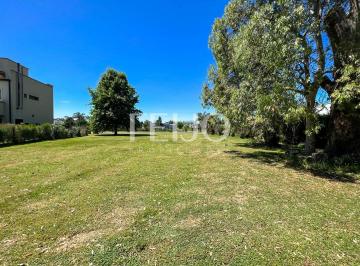 RFP-RFP-1441_2 · Lote. | Ruta 2