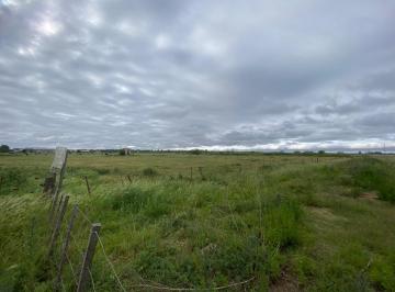Terreno · 40018m² · Venta Terreno en Carmen de Areco de 40.018 m²
