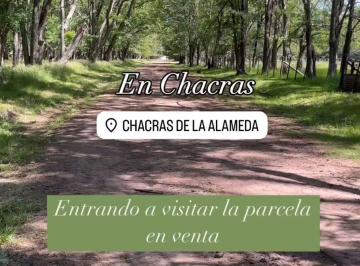 Terreno , Carmen de Areco · Increíble Hectárea a un Precio Unico!