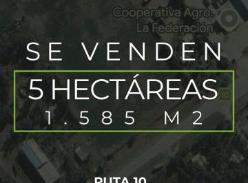 Campo , Oliva · Oportunidad de Inversión con Gran Potencial