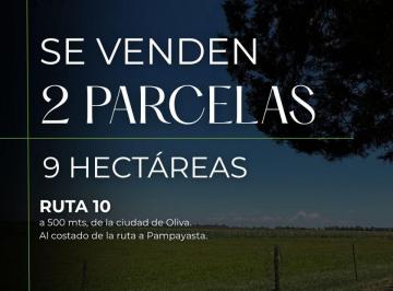 Campo , Oliva · Oportunidad de Inversión con Gran Potencial