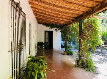 Quinta vacacional · 750m² · 12 Ambientes · 4 Cocheras · Casona Antigüa y Finca en Venta - Chilecito - San Carlos - Mendoza