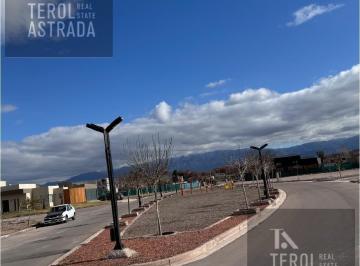 Terreno · 1ha · Lotes en Venta Alma Gardenia - Luján de Cuyo - Mendoza