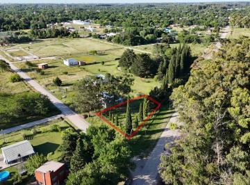 Terreno · 798m² · Lote - Venta - 798 m² Veronica T - 797