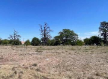 Terreno · 264m² · Terreno en Venta - 264 m² - Los Hornos, La Plata