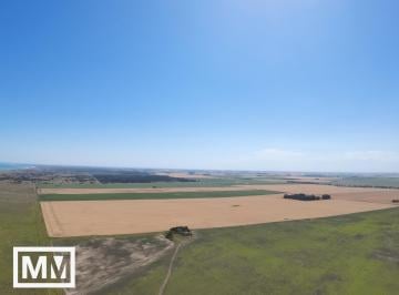 Terreno · 50000m² · Terreno en Barrio Chapadmalal