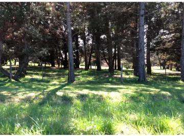 Terreno , Chapadmalal · 3 Terrenos en Block 2586 Mt 2. Zona Col. Chapadmalal. a 300 m del Paseo Costero