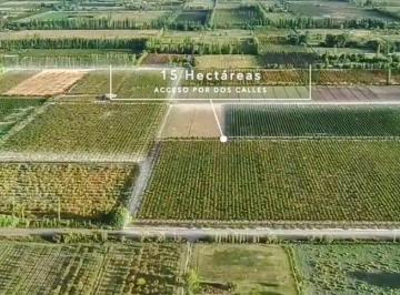 Casa · 250ha · 4 Ambientes · 1 Cochera · Finca con Produccion y Dos Viviendas
