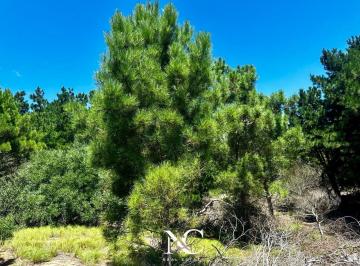 Terreno · 975m² · Terreno Lote en Venta en Costa Esmeralda, Barrio Ecuestre