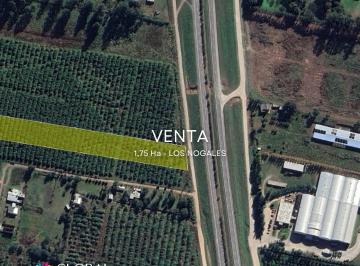 Terreno · 17588m² · 9.3 Ha Sobre Ruta 9 - Los Nogales