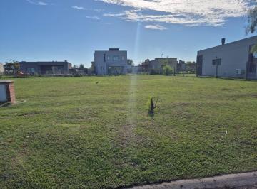 Terreno · 506m² · Terreno en Venta en Barrio Santa Emilia Pilar del Este