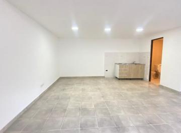 Departamento · 46m² · 1 Ambiente · Un Ambiente Amp y Divisible Pb Al Fte