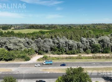 Campo · 30000m² · 3 Ha Chacra en Ruta 6, Pilar