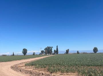 Campo , San Martín · Finca de 40 Ha California