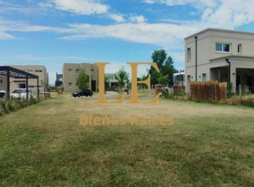 Terreno · 483m² · Venta Lote en Pilar del Este