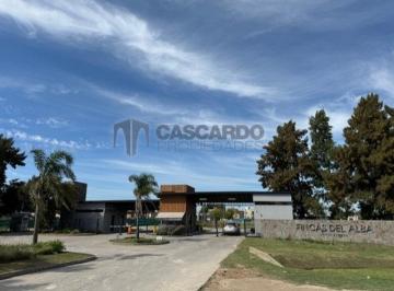 Terreno , Ezeiza · Hermoso Terreno de 1725 m² en Excelente Orientación. Escriturado. Apto Crédito.