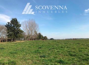Campo , Campana · Apto Desarrollo Inmobiliario - Excelente Campo en Venta de 175 Has Campana -