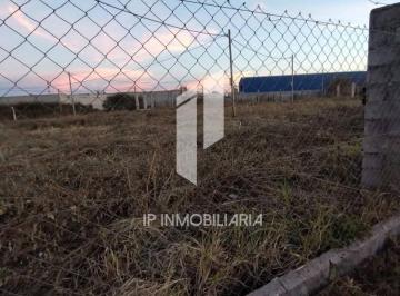 IPI-IPI-64_2 · Lote. | Puerto Argentino Al 100