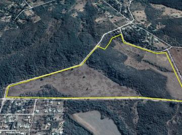 Campo , La Granja · La Granja - Cordoba - 24 Ha