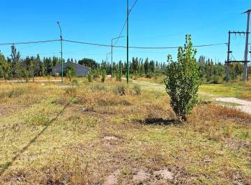 Terreno · 304m² · Terreno en Venta Cinco Saltos, Río Negro