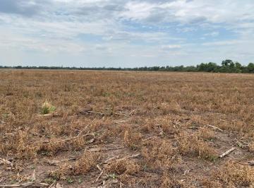 Campo , Tres Isletas · Campo Agricola Tres Isletas Chaco