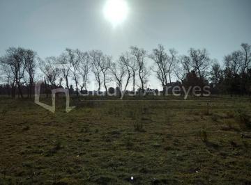 Terreno , Punta Indio · Lote de 20x69 en Las Tahonas, Punta Indio.