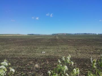 Campo · 489226m² · 49 Ha de Campo Apto Para Actividad Agricola. Mar del Plata. Sobr Av Antartida Argentina.