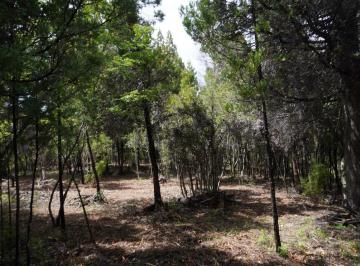Terreno , El Bolsón · Parcela A01 - Silvestre Alto