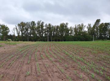Terreno · 120m² · 1 Ambiente · Campo 9 Has Av San Martin Colonia Caroya
