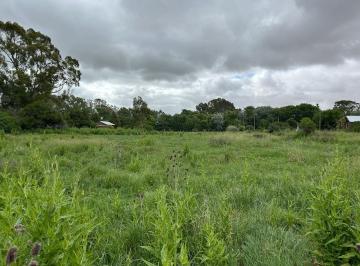 Terreno , Punta Indio · Lotes de 20x60 / Venta Conjunta o Individual en Punta Indio, Buenos Aires.