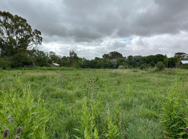 Terreno · 4715m²