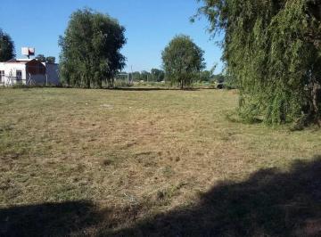 Terreno · 3200m² · Terreno en Venta - 3.200 m² - Alejandro Korn