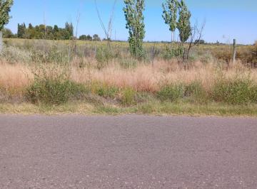 Terreno , San Rafael · Lote en Venta de 2000 m, San Rafael