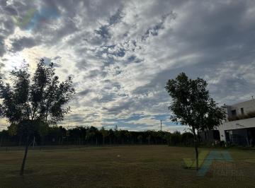 Terreno · 508m² · Oportunidad! Venta de Lote en San Eduardo - Pilar del Este