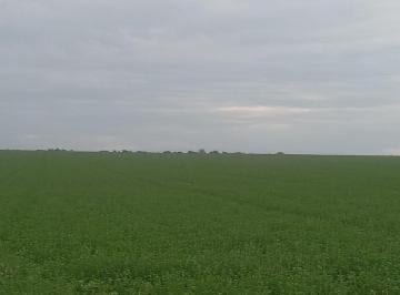 Campo · 90m² · Venta Campo Agricola de 90 Has, Proximo a Jesus Maria